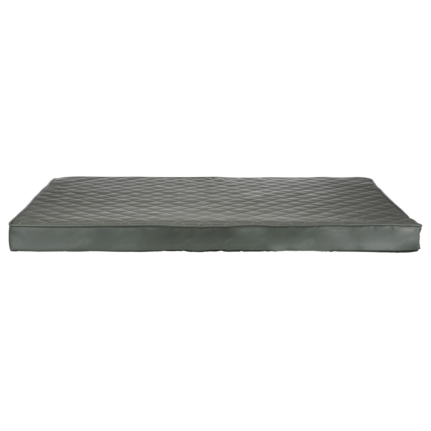 Cojín Vital Santo, Ecopiel, 120 × 80 cm, Gris
