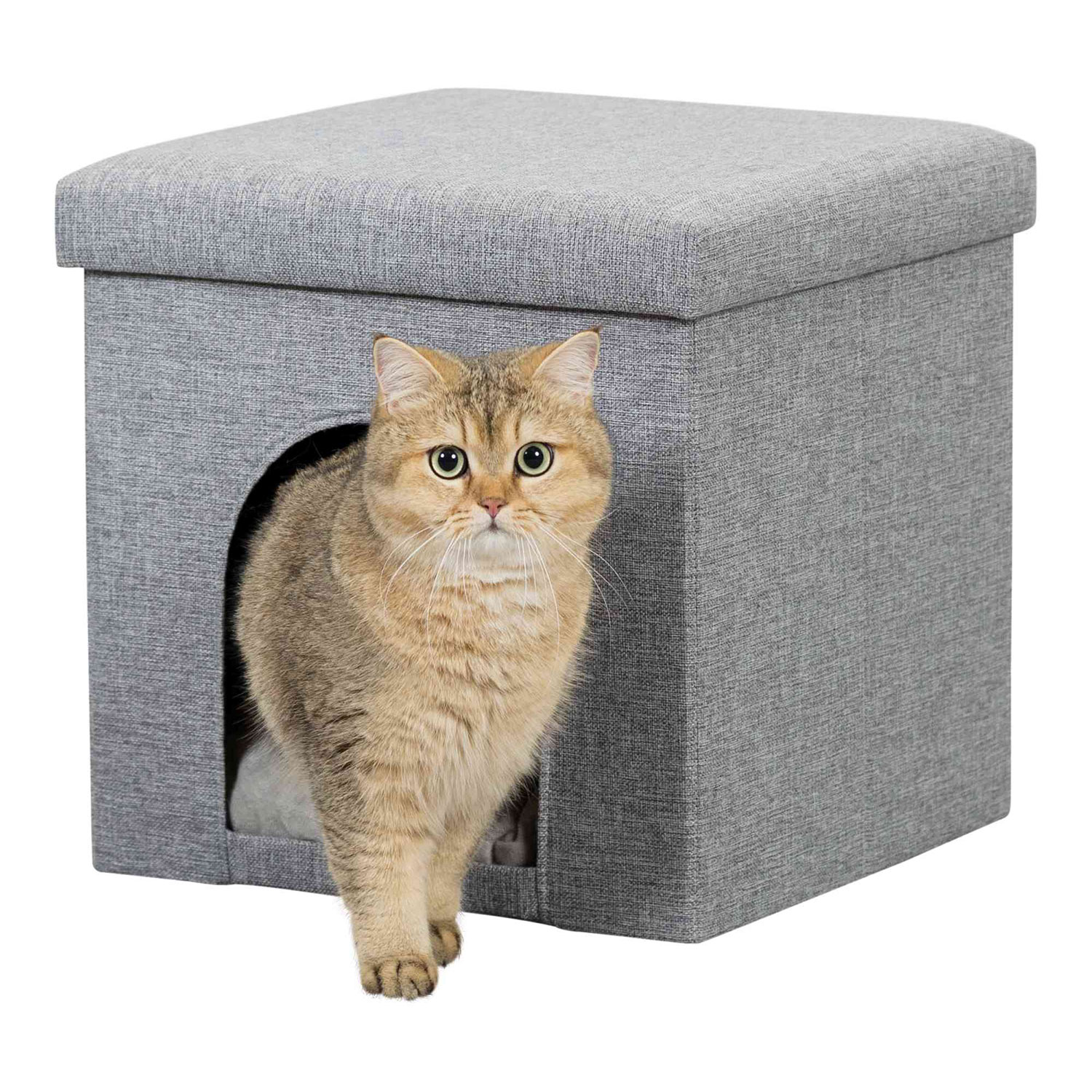 Cueva Suave Alois, 38 x 40 x 38 cm, Gris