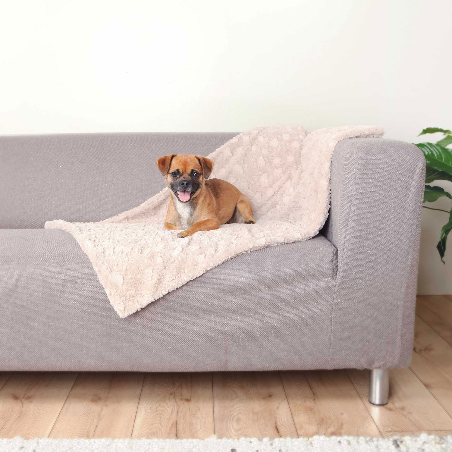 Manta Suave, 70 × 50 cm, Beige