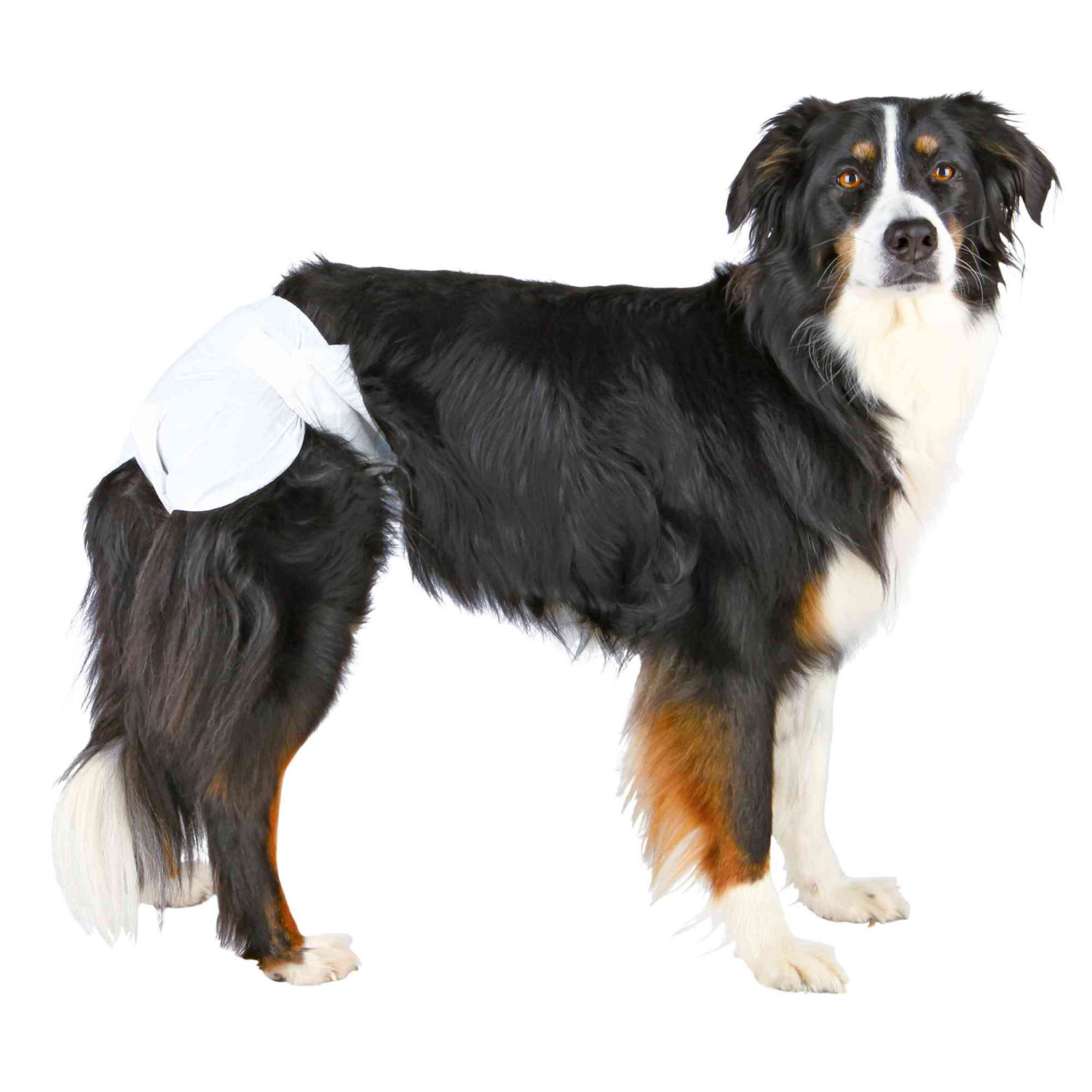 12 Pañales Perros ultra absorbentes, XS-S