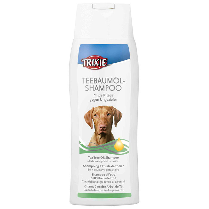 Champú Aceite Árbol de Té