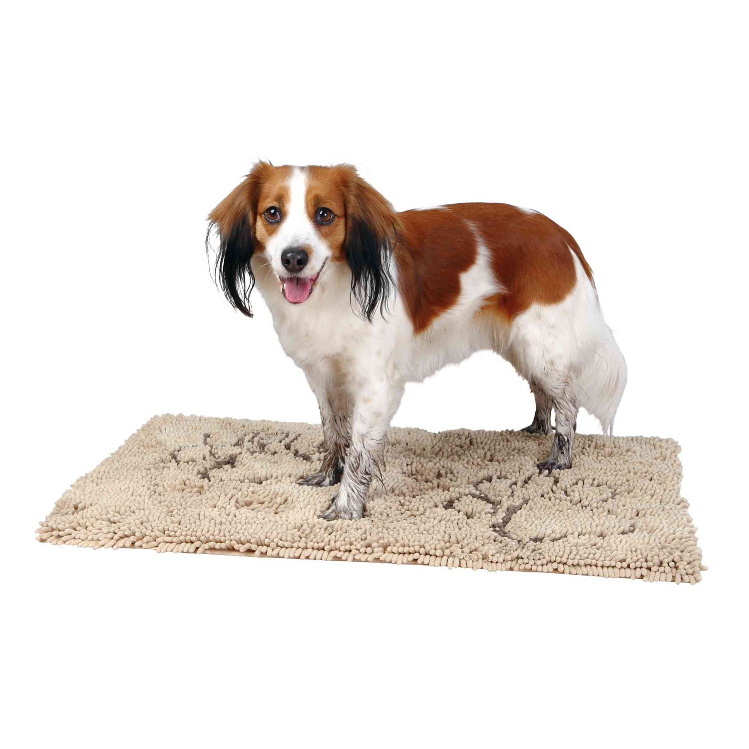 Alfombrilla Absorbe-suciedad, 80 × 55 cm, Beige