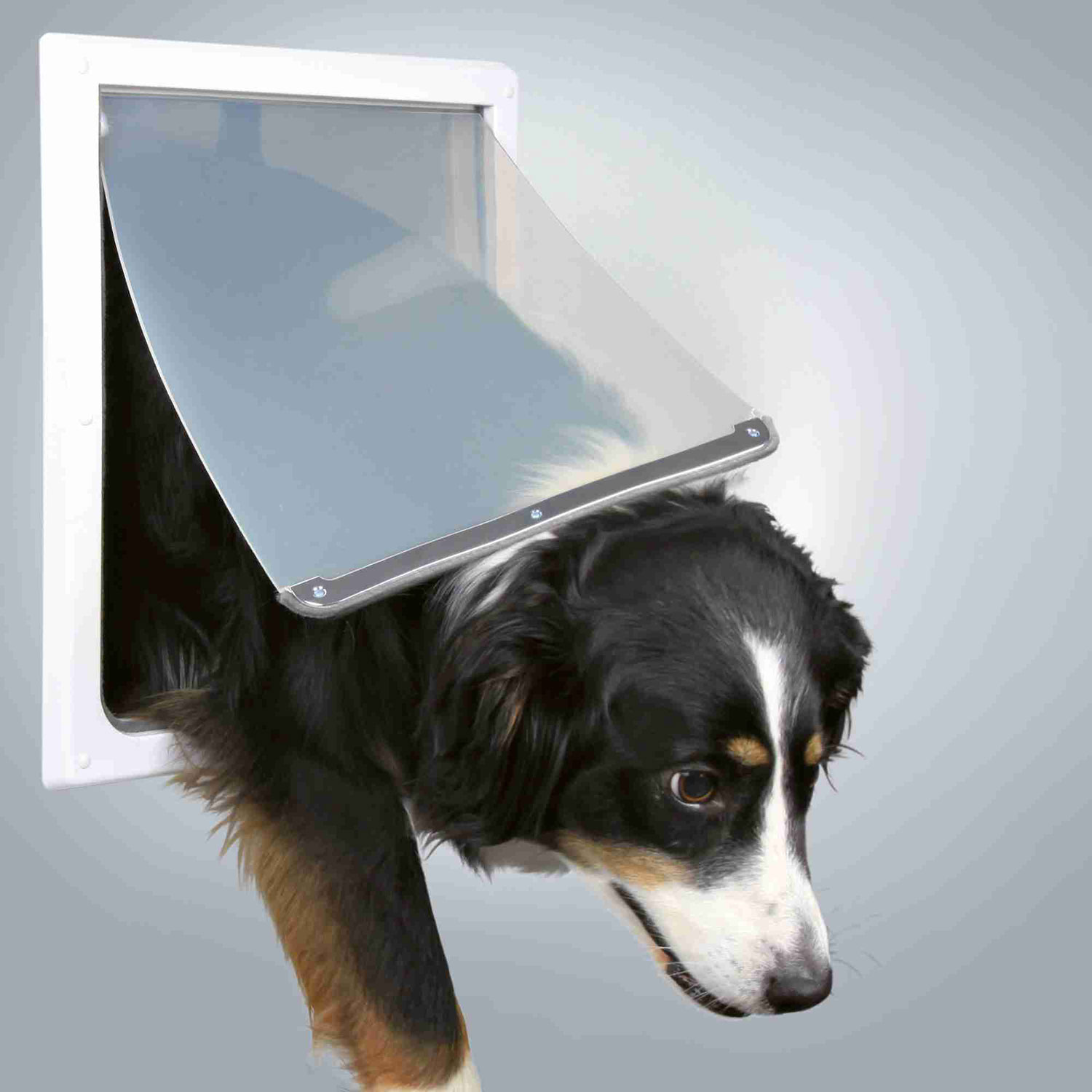 Puerta Perros 2 posiciones, M-XL, Blanco
