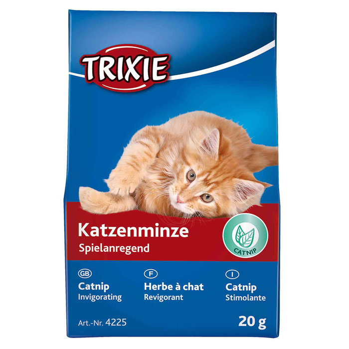 Catnip