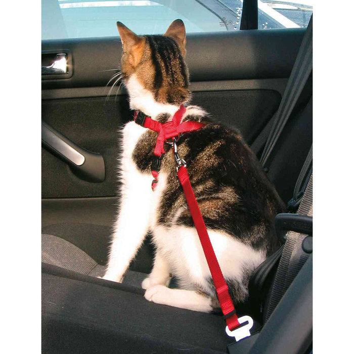Arnés para Coche