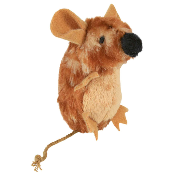 Ratón