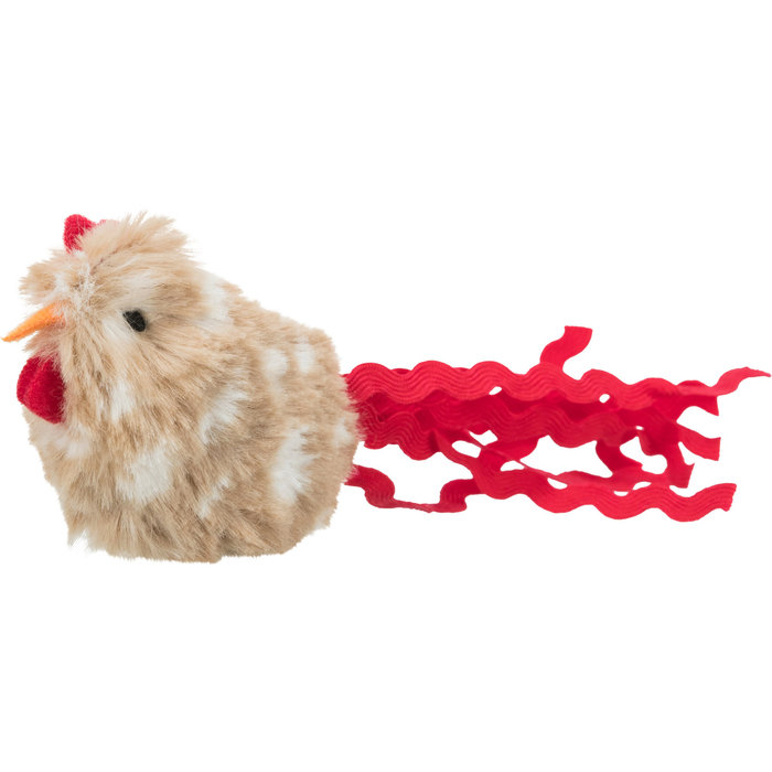 Pollo