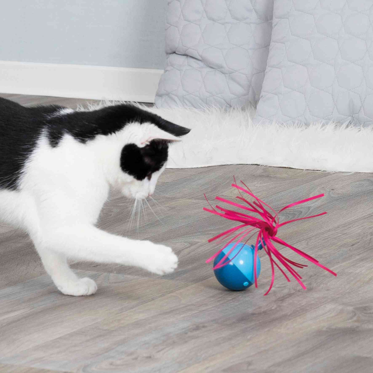 Pelota Roly-Poly, Plástico, ø6 x 9 cm