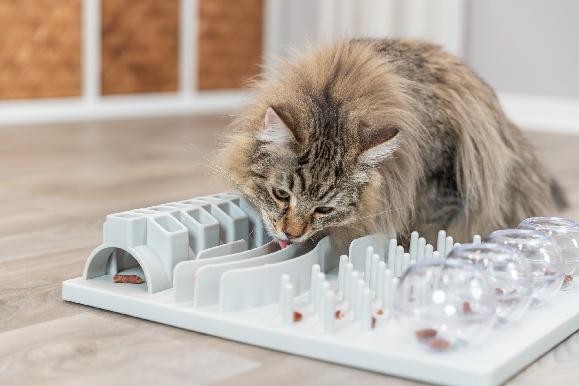 Cat Activity Fun Board, 5 opciones, 30 x 40 cm