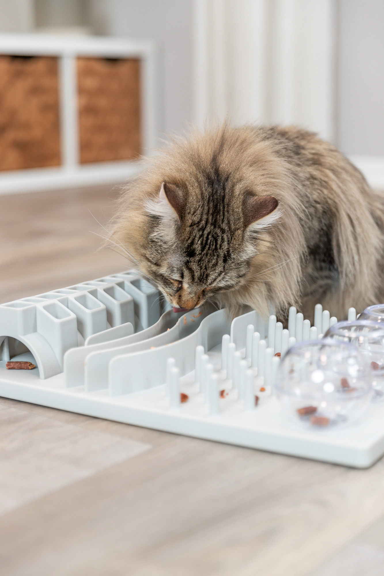 Cat Activity Fun Board, 5 opciones, 30 x 40 cm