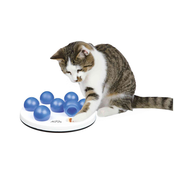 Juego Interactivo Solitario