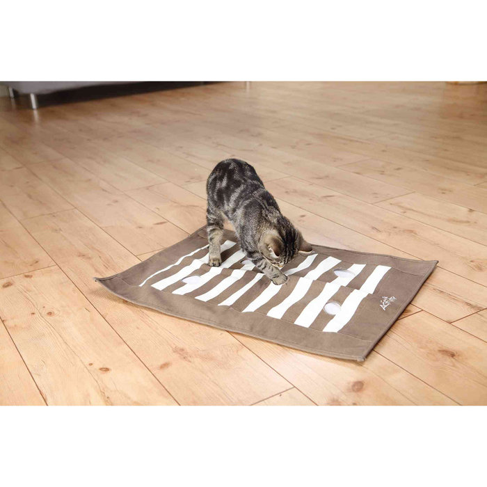 Manta de Premios Cat Activity