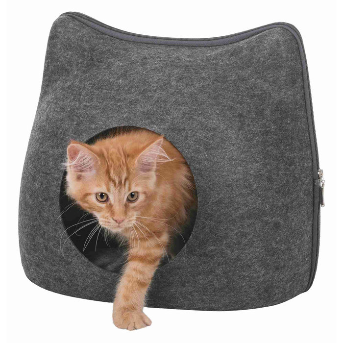 Cueva Suave Cat
