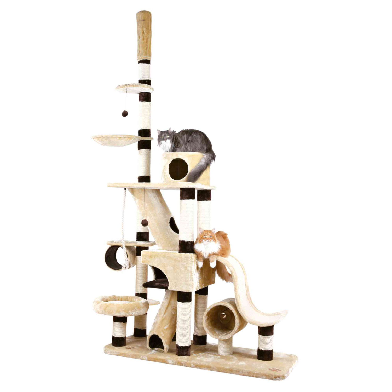 Poste Rascador Munera, 246-280 cm, Beige-Marrón