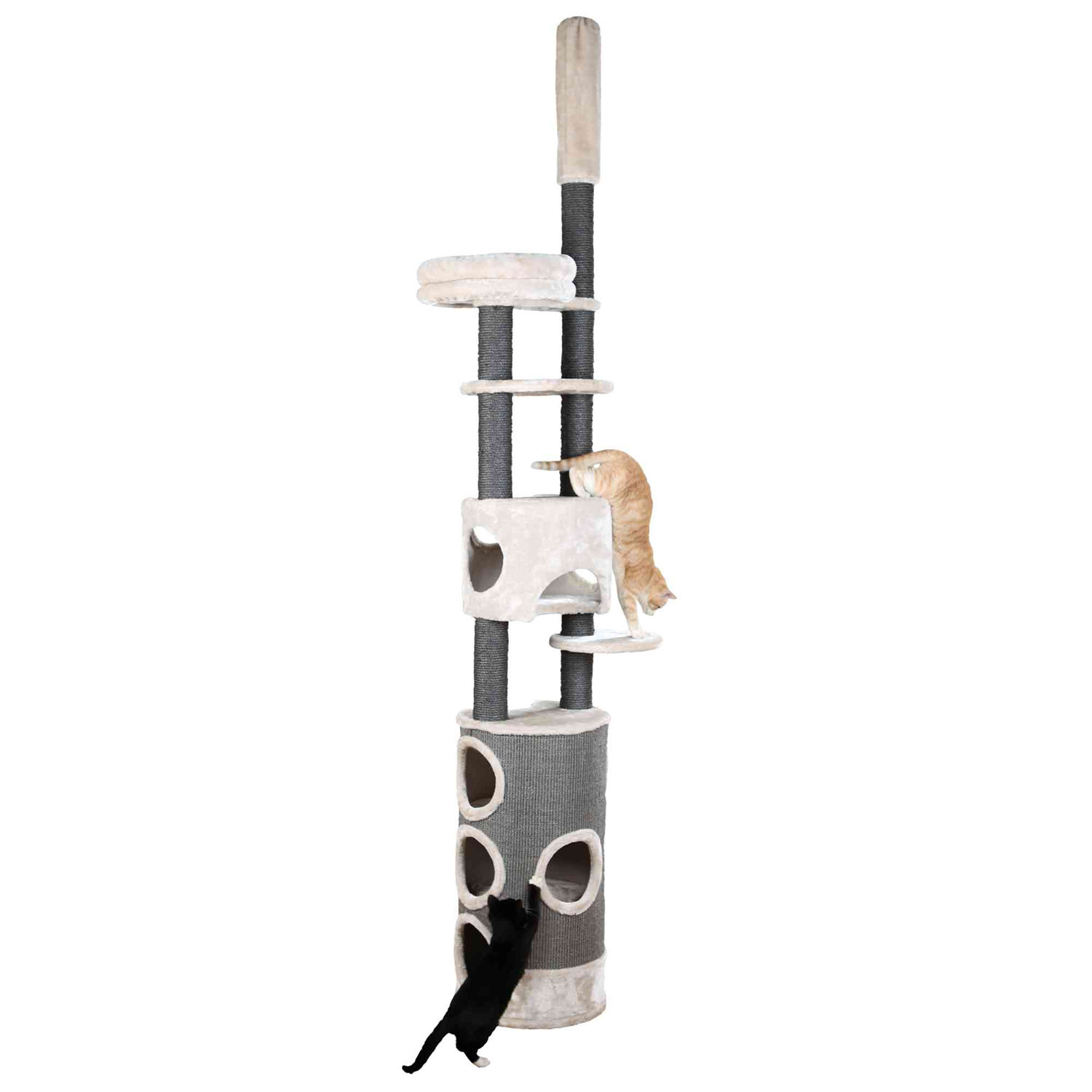 Rascador Esma, Suelo-techo, 243-270 cm, Gris claro