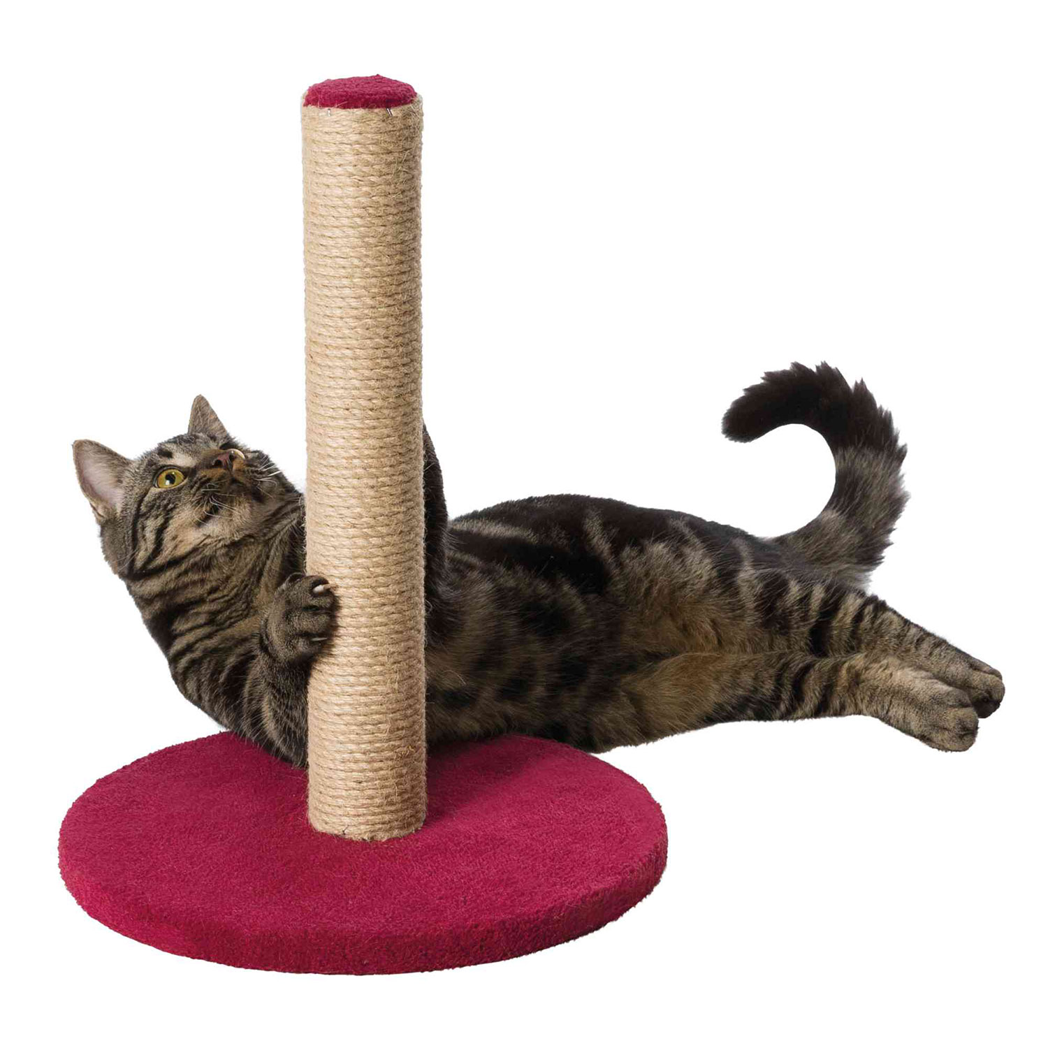 Poste rascador con Base, 42 cm, Rojo