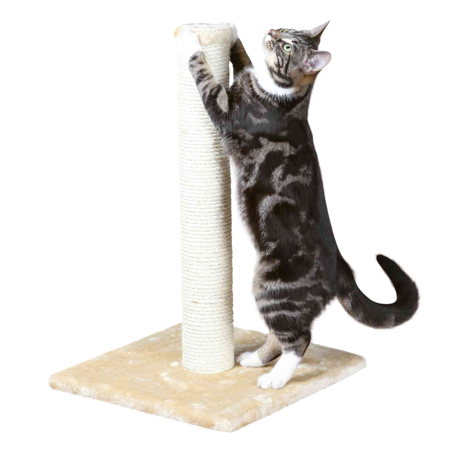 Poste Rascador Parla, 62 cm, Beige