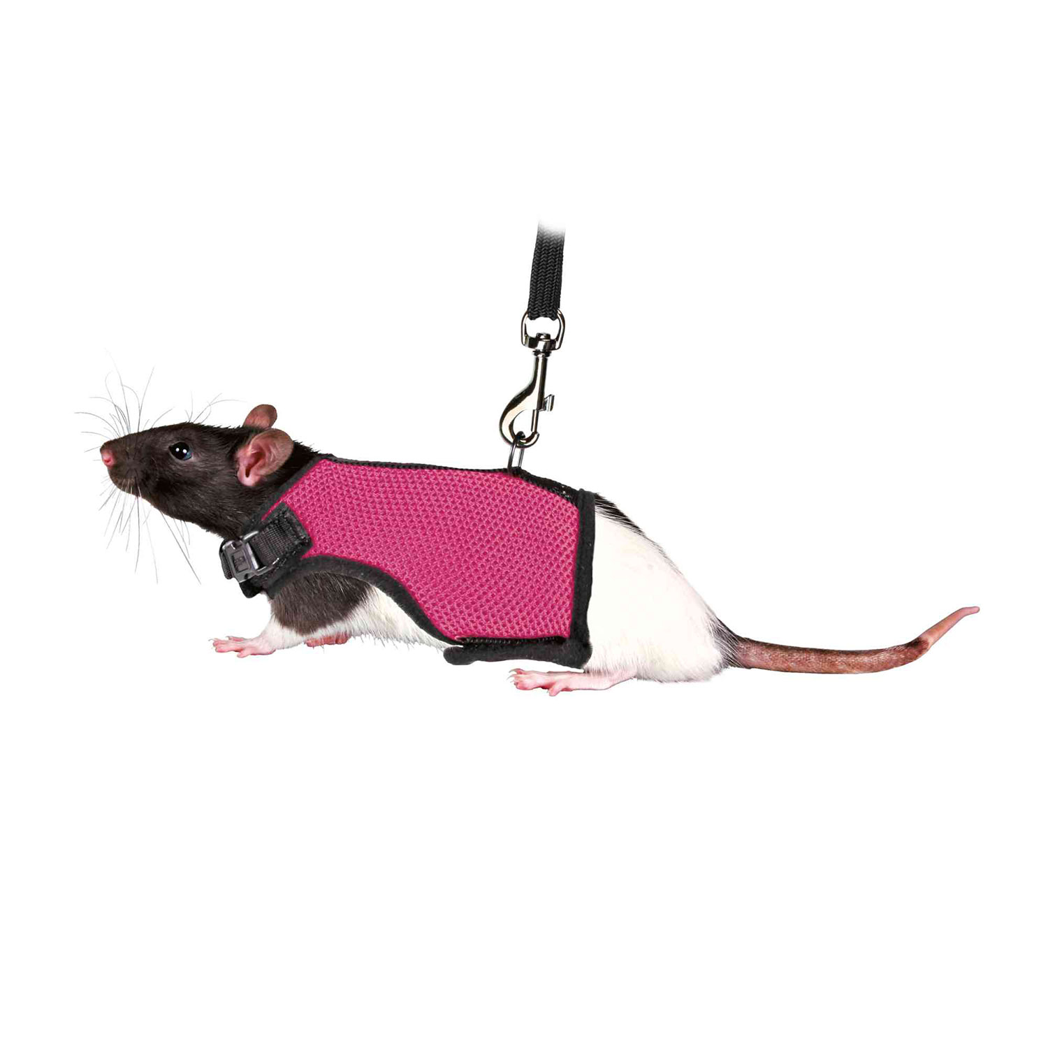 Arnés suave correa, Ratas, 12-18 cm, 1.20 m