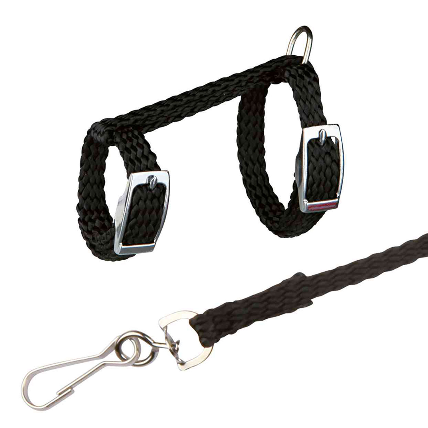 Set para Ratas y Hurones, totalmente Ajustable