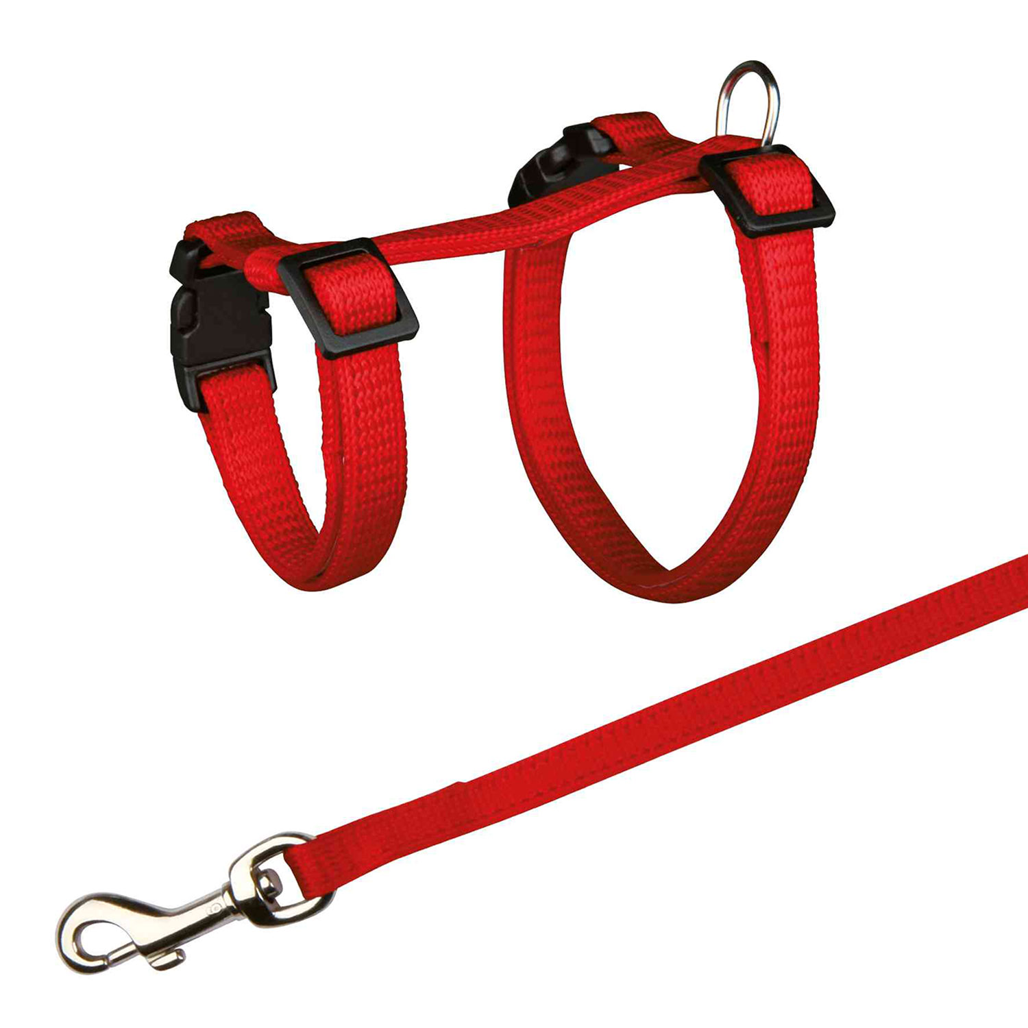 Set Cobayas, totalmente Ajustable