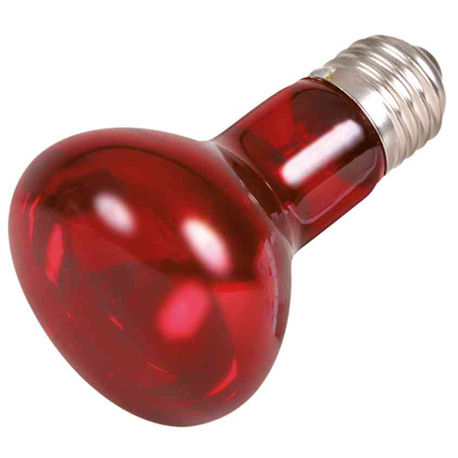 Lámpara Calefactante Infrarrojo, ø63 x 100 mm, 35 W