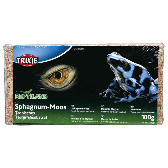 Musgo Sphagnum