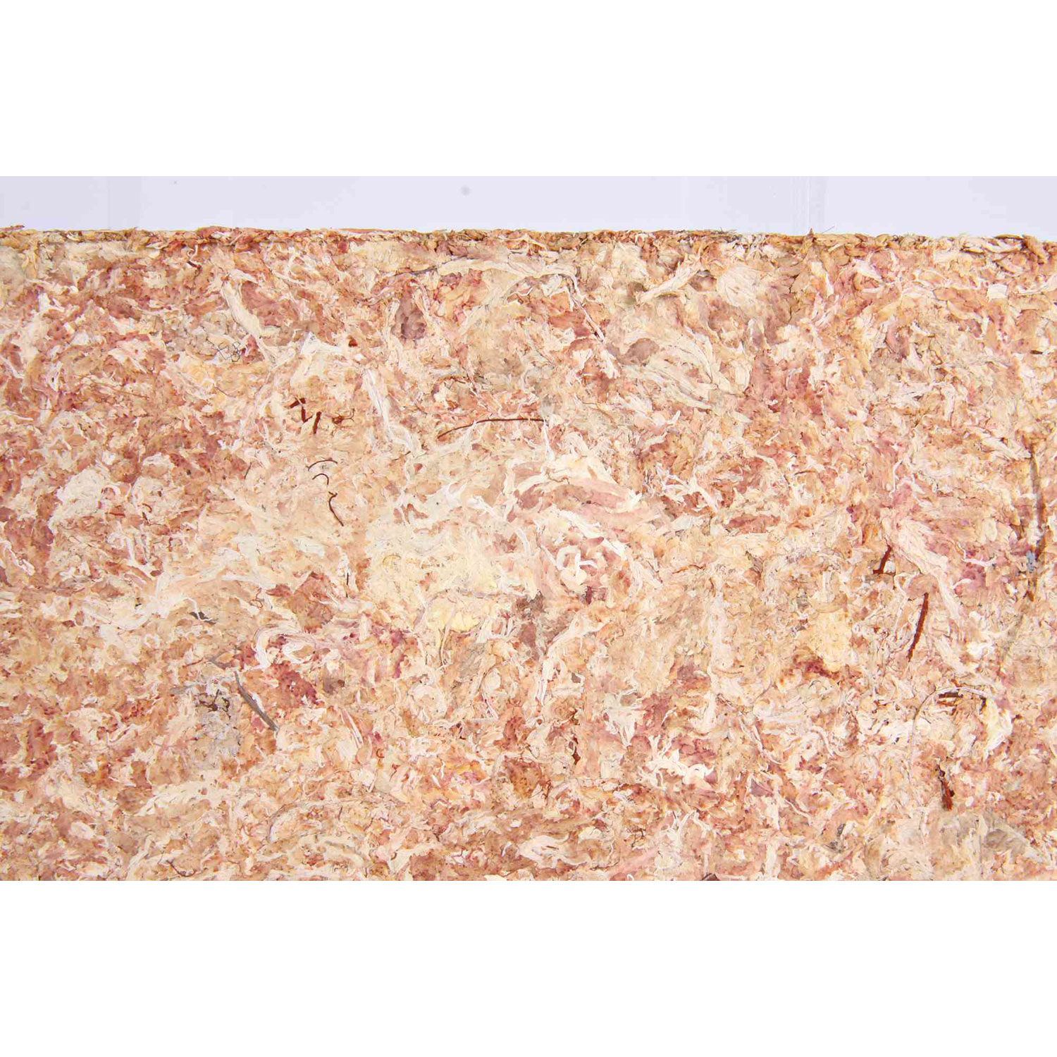 Musgo esfango, Sustrato Terrario Tropical, 4.5 l