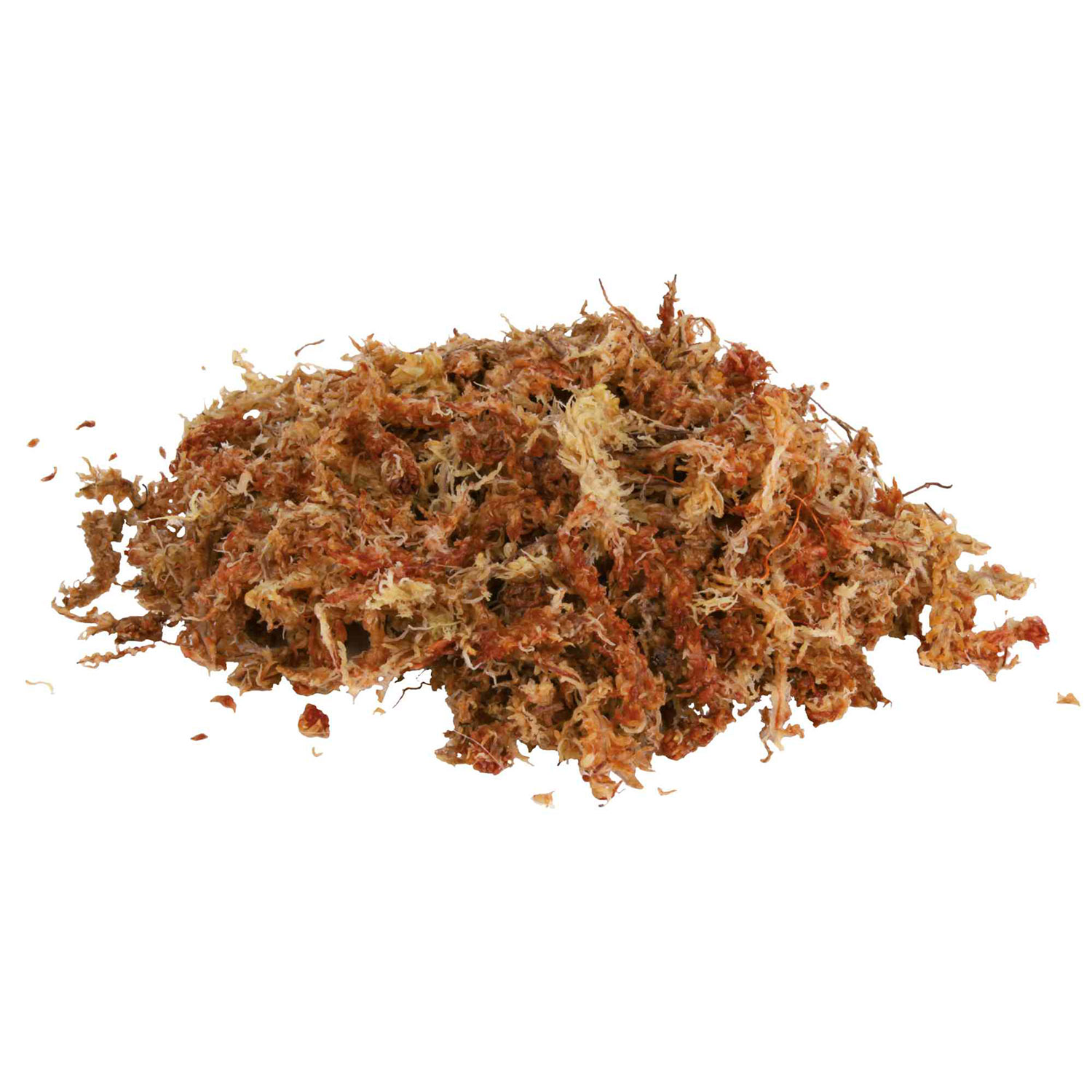 Musgo esfango, Sustrato Terrario Tropical, 4.5 l