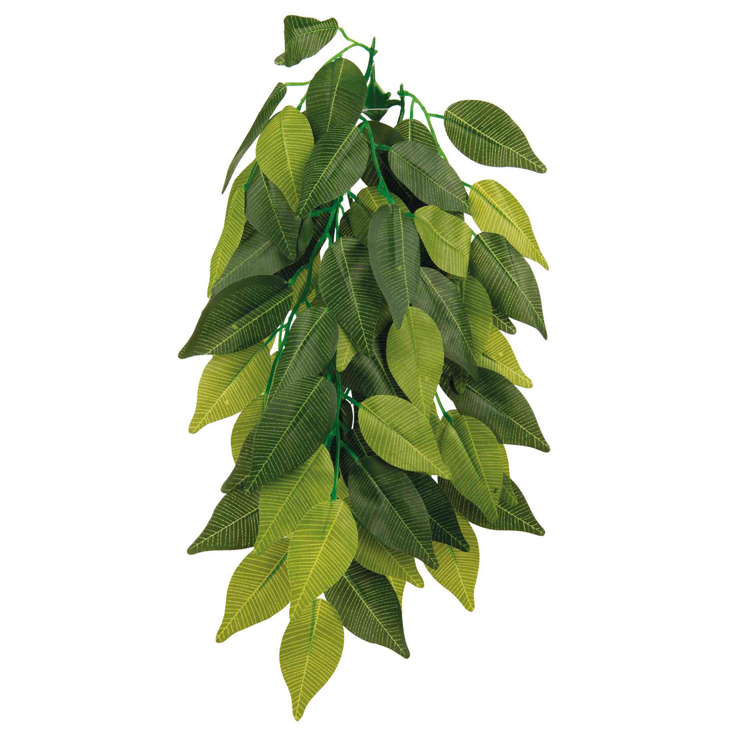 Planta seda colgante Terrarios Ficus, ø20 x 30 cm