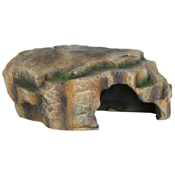 Cueva Reptiles