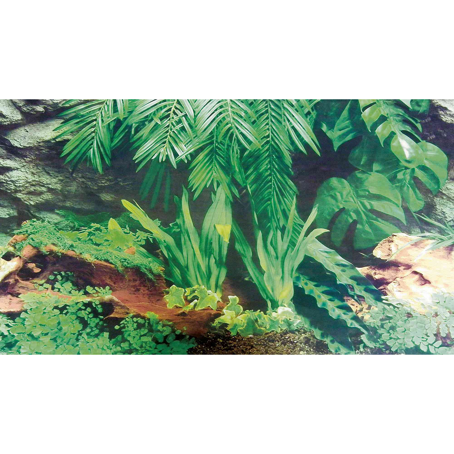 Fondo Decorativo Terrarios, Doble Cara, 60 x 150 cm