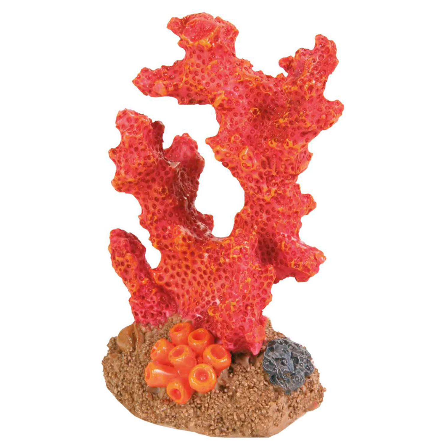 Set de Corales, 7 cm