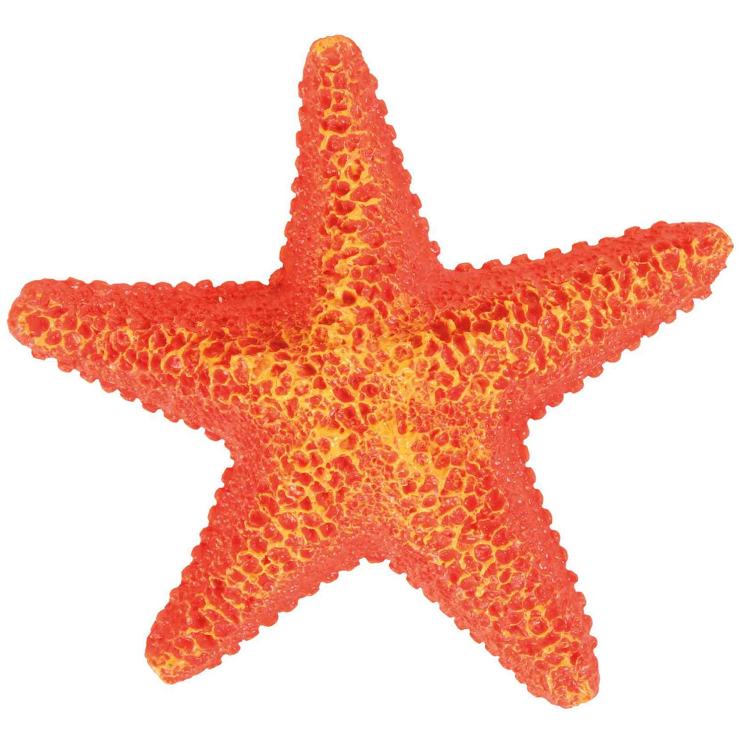 Set de Estrellas de mar, ø9 cm