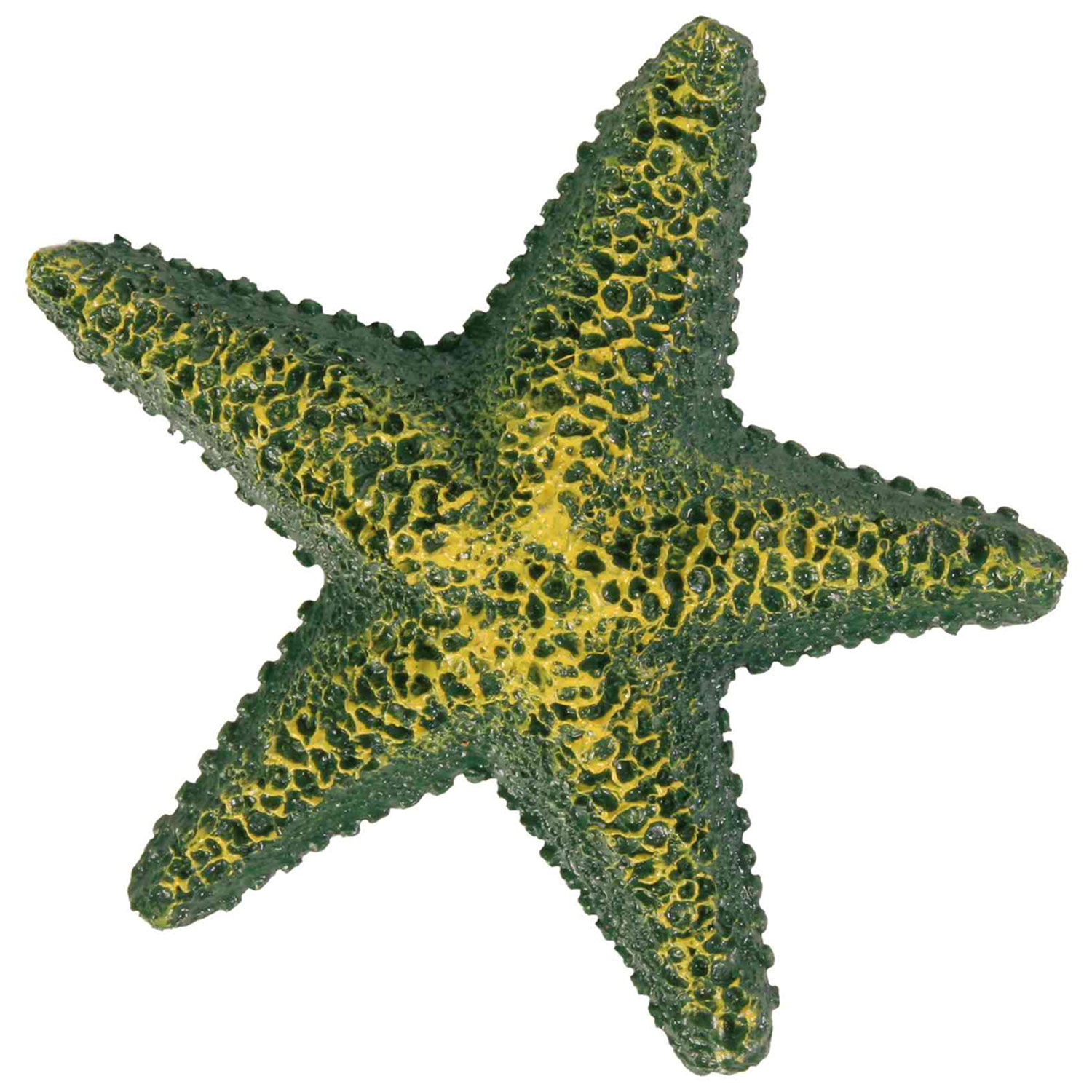 Set de Estrellas de mar, ø9 cm