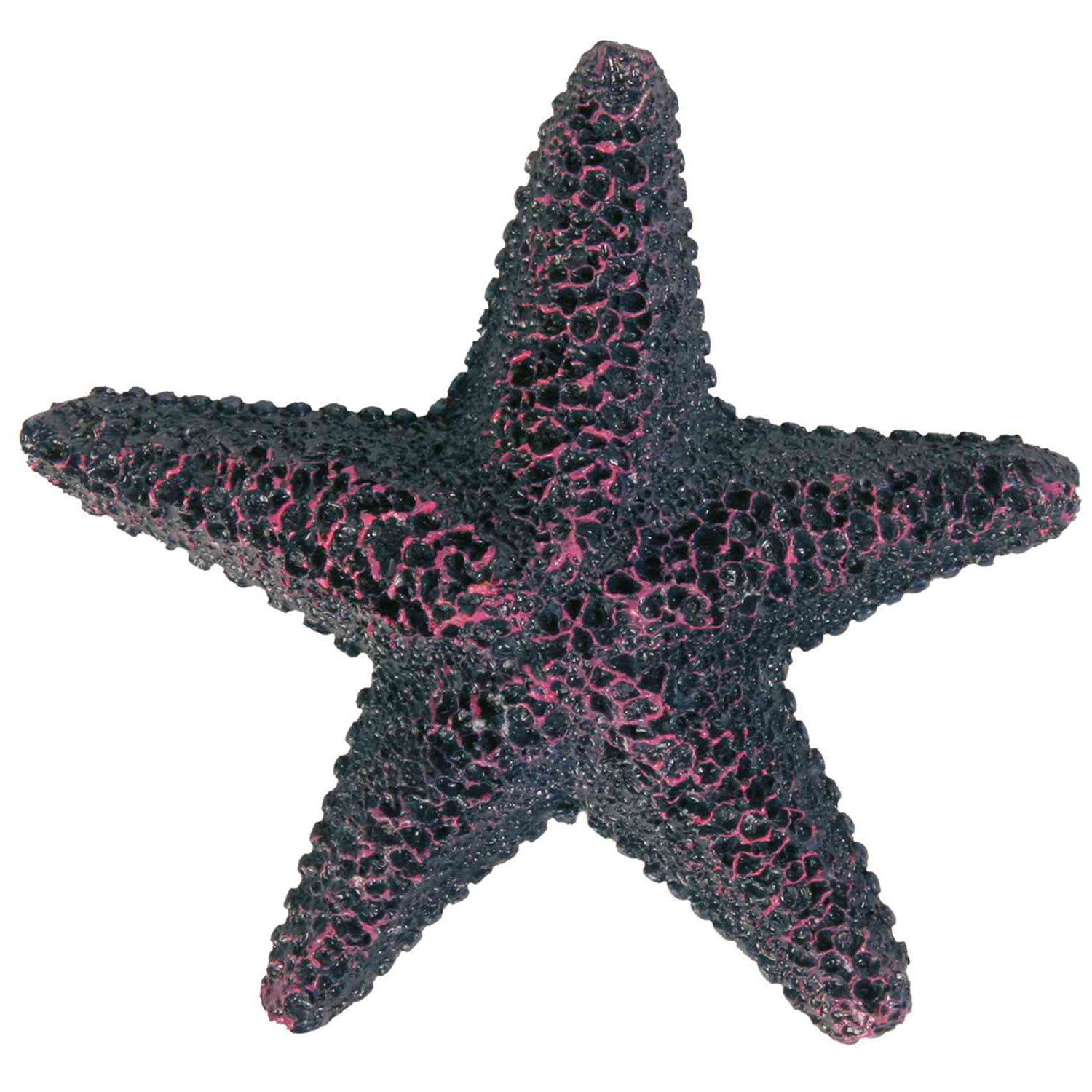 Set de Estrellas de mar, ø9 cm