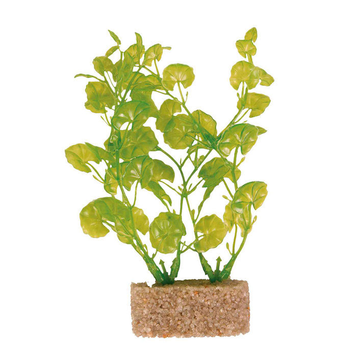 Surtido Plantas Plástico con Base Arena