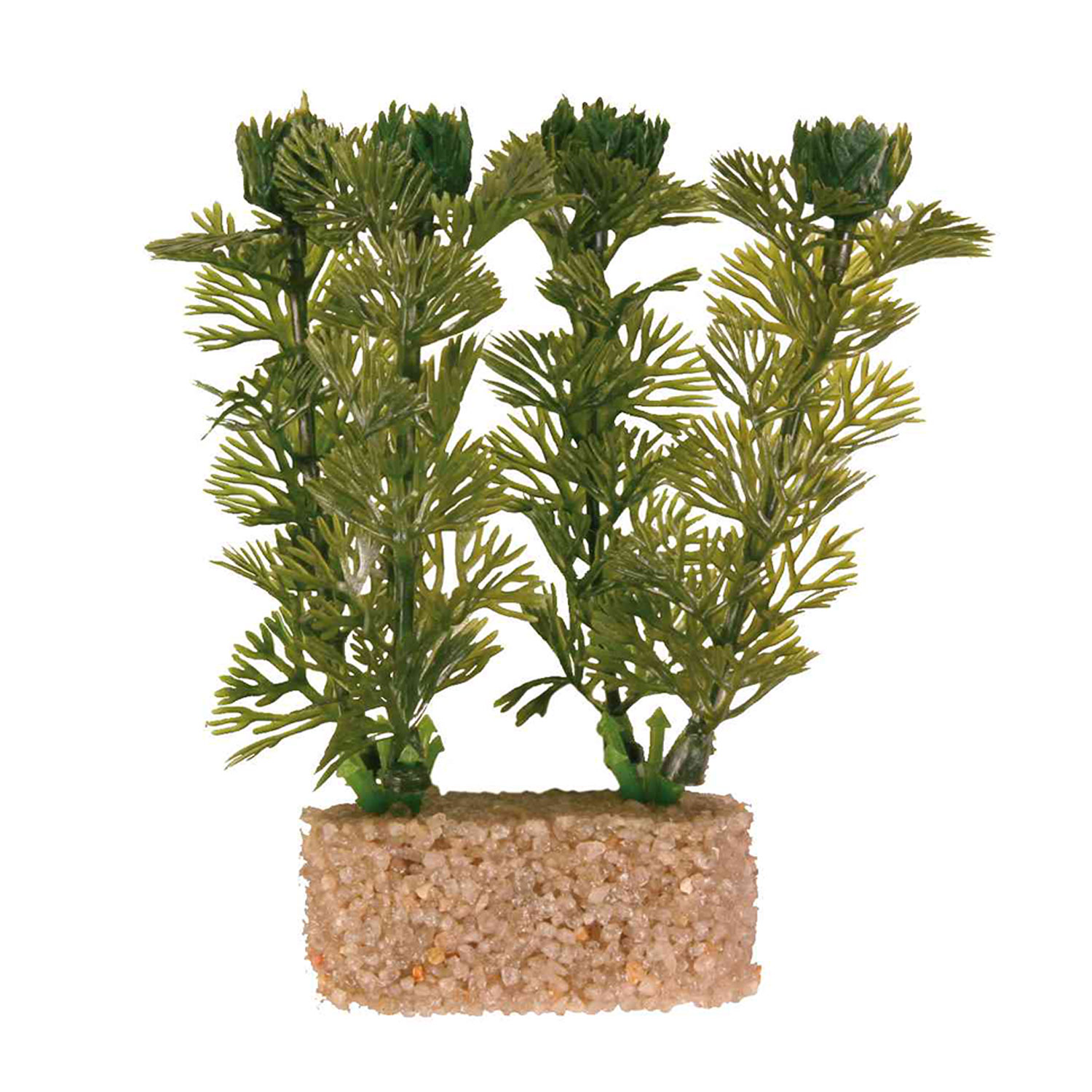 Set de Plantas plástico con base arena, 12 cm