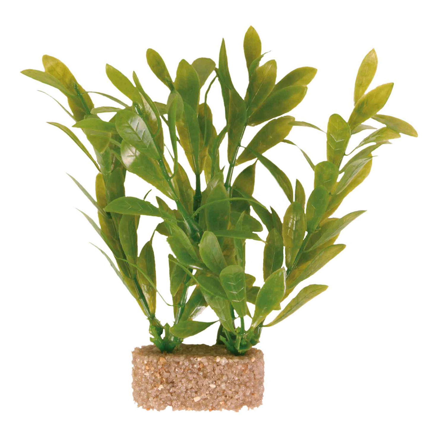 Set de Plantas plástico con base arena, 12 cm