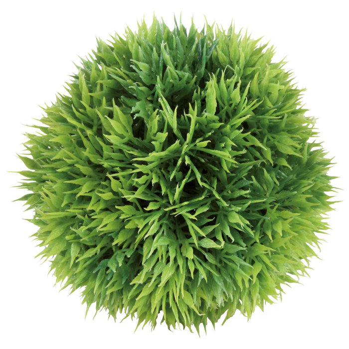 Bola de Musgo