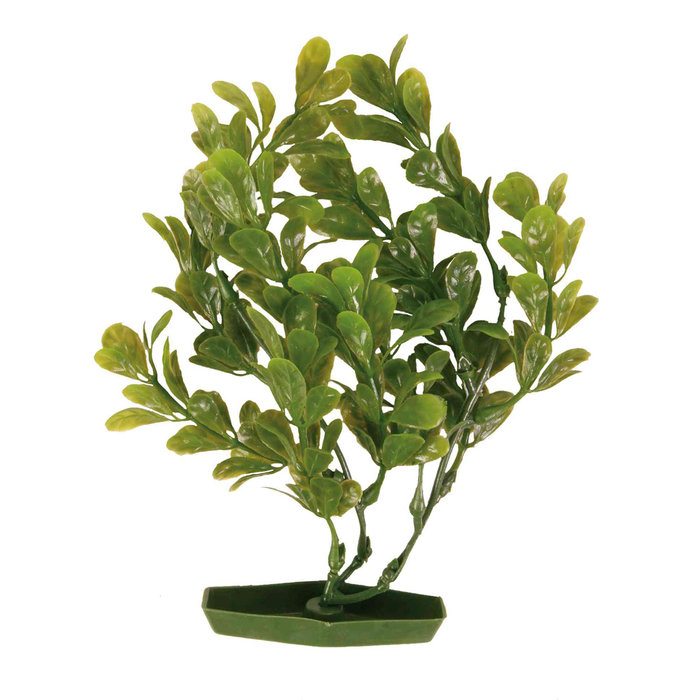 Surtido Plantas Plástico