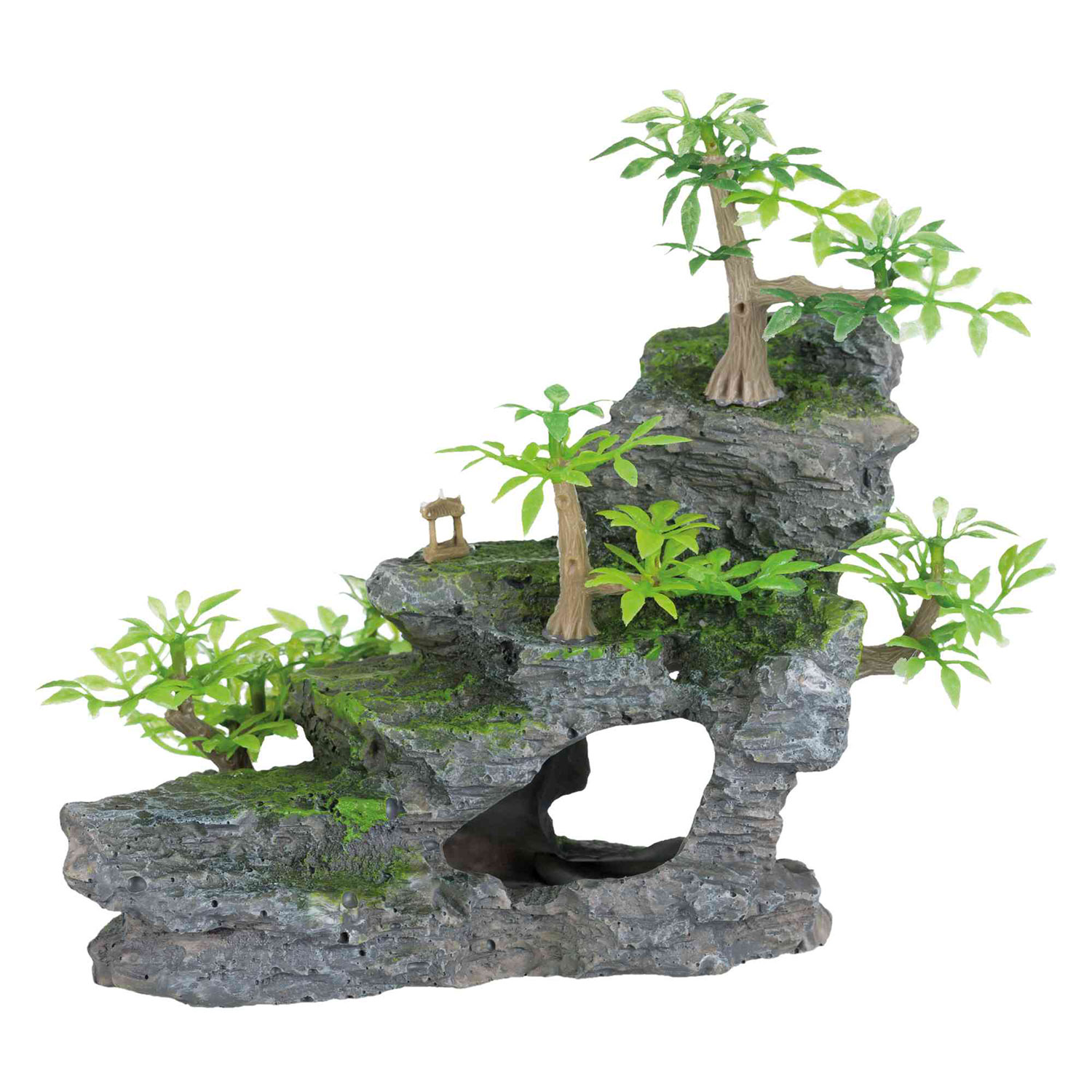 Escalera de Piedra, 19 cm