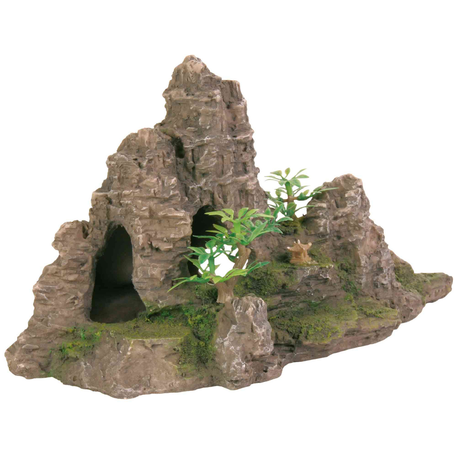Formación Rocosa, 22 cm