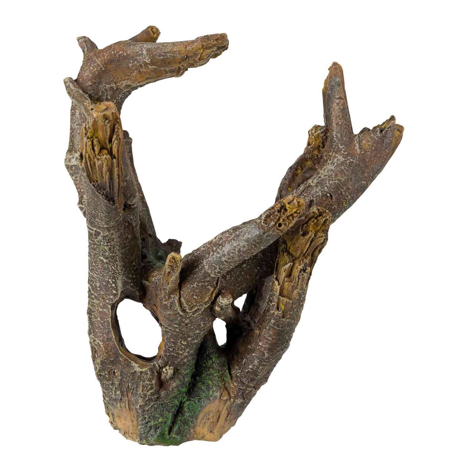 Raíz, Pequeño, 12 cm