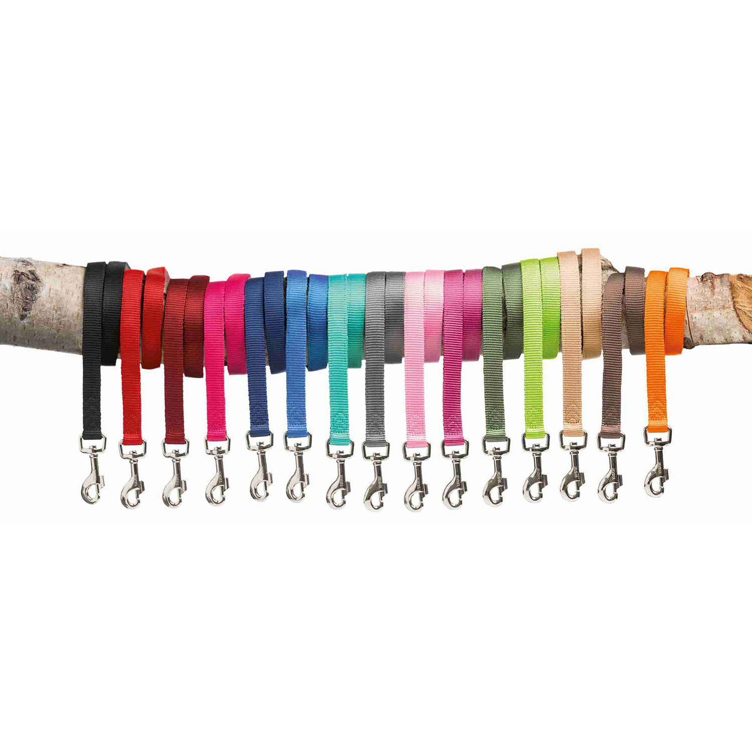Correa NEW Premium, XS, 1.20 m/10 mm, Grafito