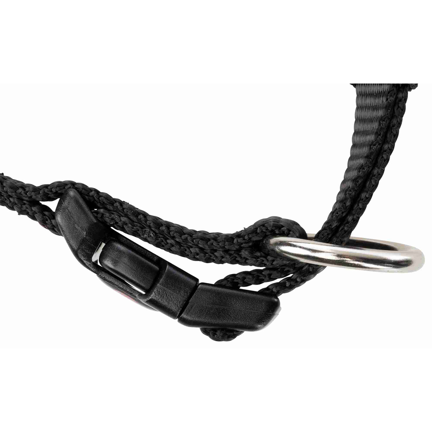 Collar NEW Premium, XXS–XS, 15–25 cm/10 mm, Negro