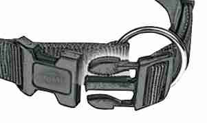 Collar NEW Premium, XXS–XS, 15–25 cm/10 mm, Orquídea