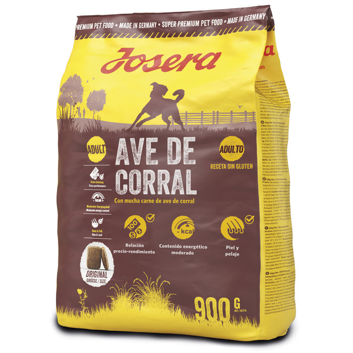 Ave de Corral