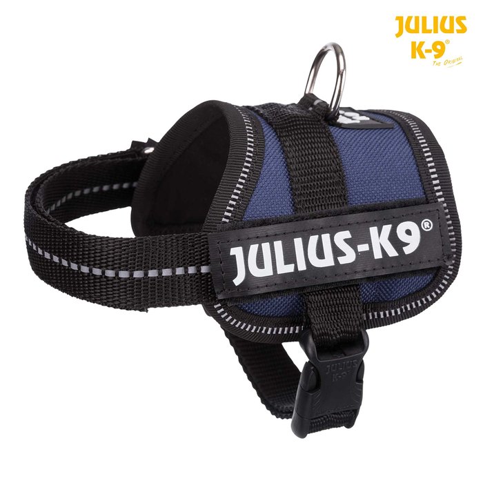 Arnés Julius-K9 Power Añil