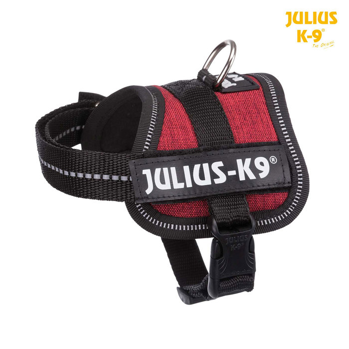 Arnés Julius-K9 Power Bermellón