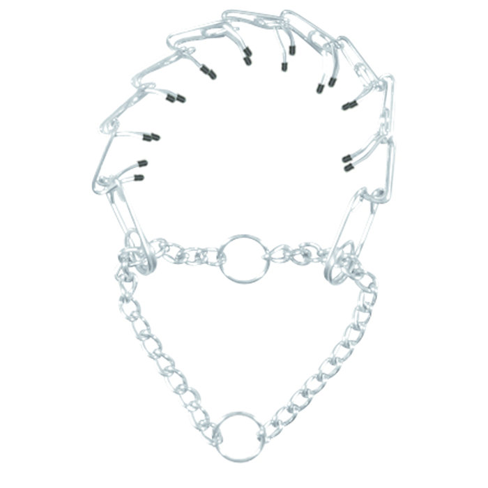 Collar Entrenamiento Acero Inox
